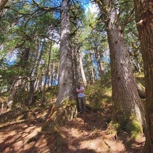 Meet your Posher, Seager